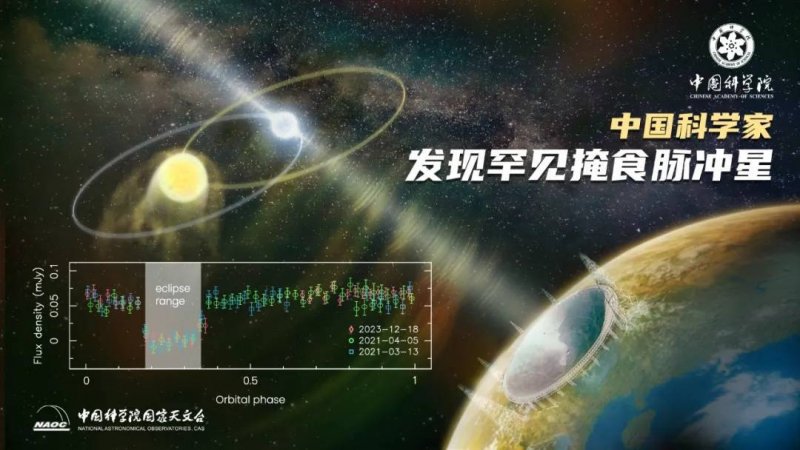 六安：大树穿上“萌萌”毛衣